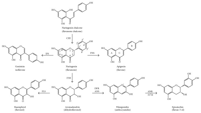 Figure 2