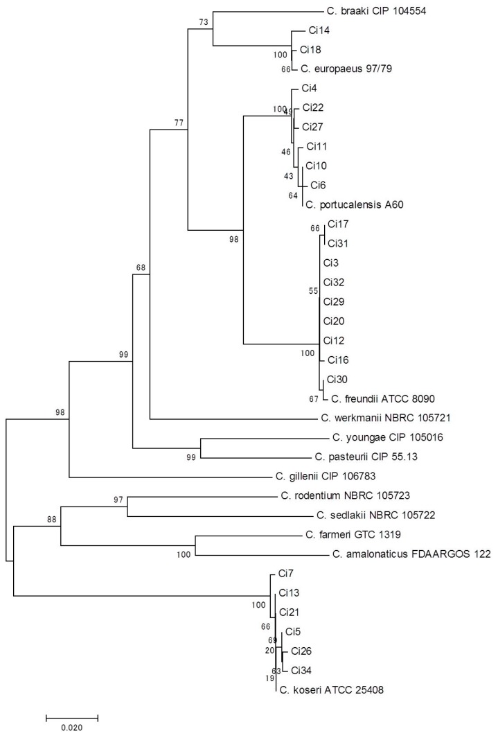 Figure 1