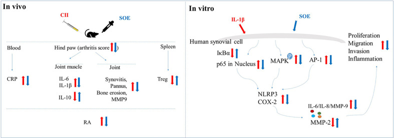 Graphical Abstract