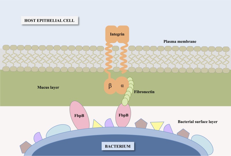 FIG 7