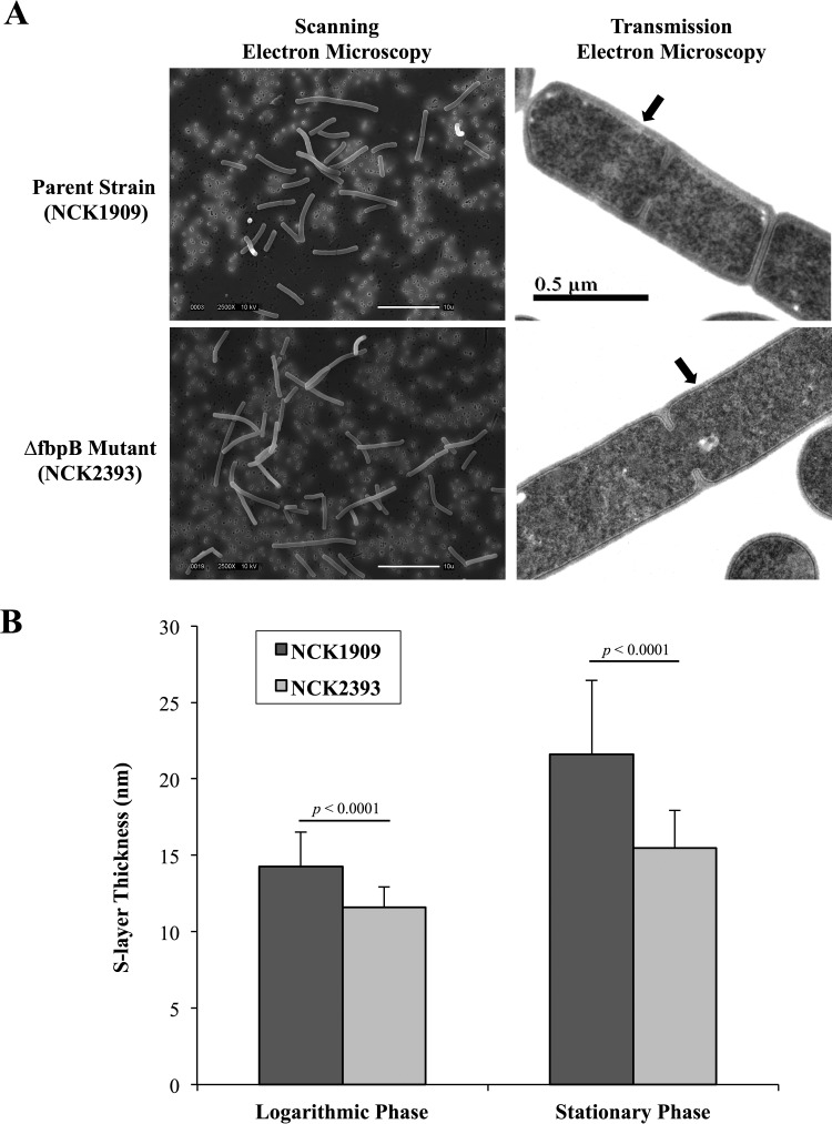 FIG 5