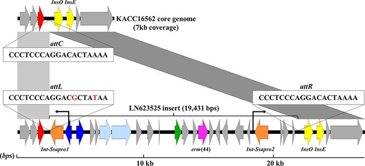 FIG 2