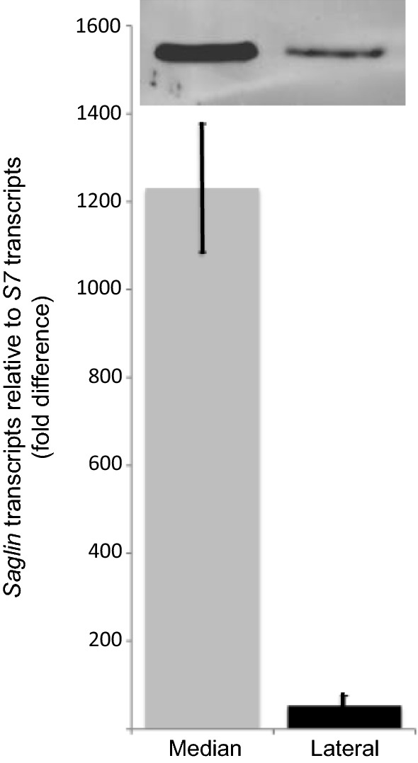 Fig. 3