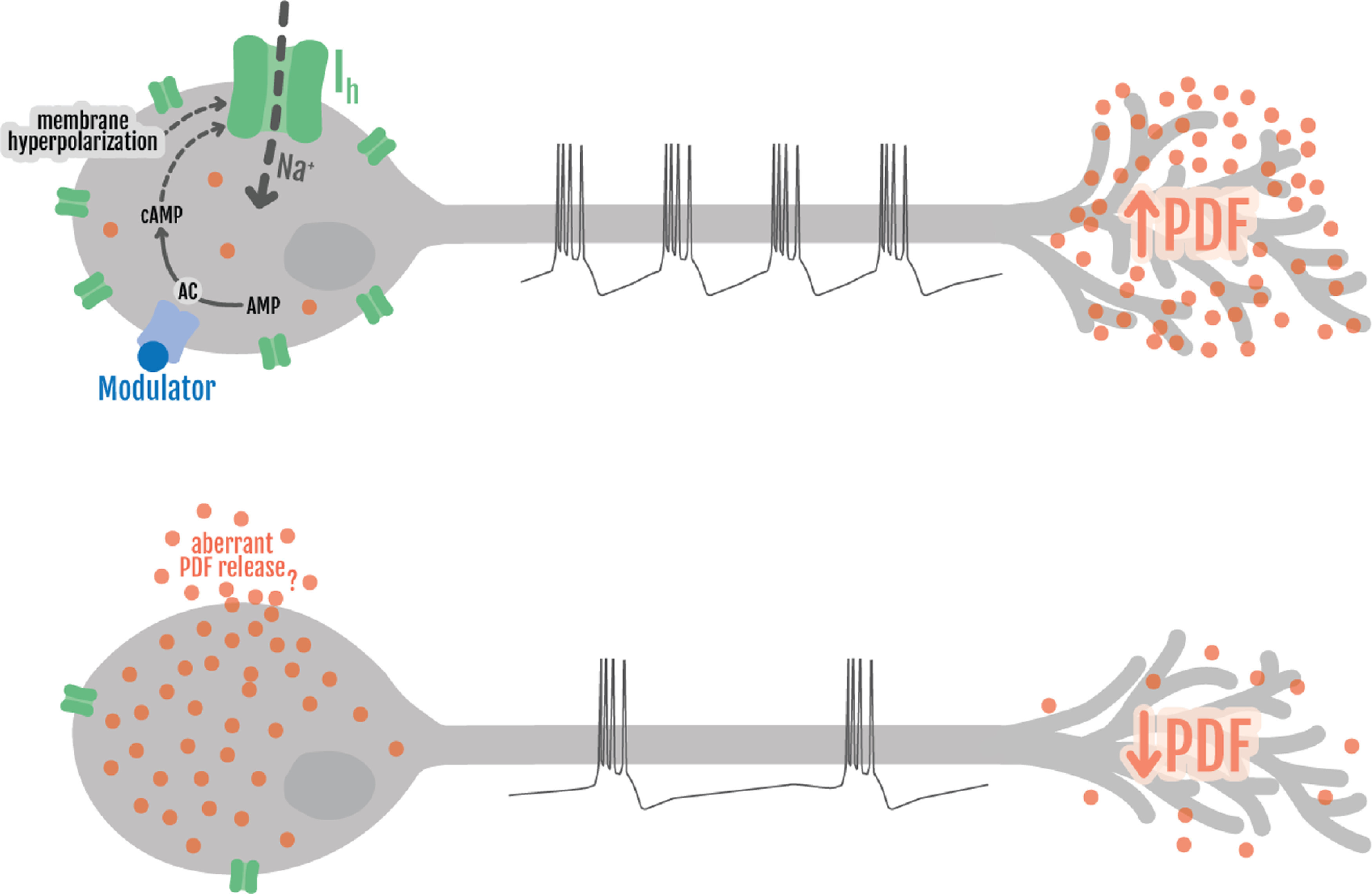 Figure 9.