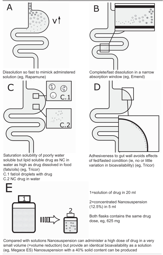 graphic file with name ijn-3-295t1.jpg