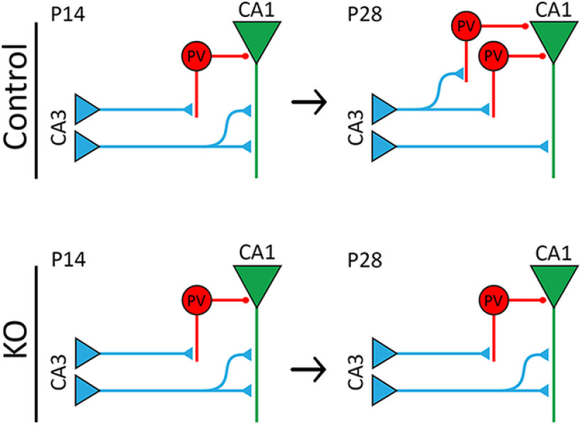 Figure 8.