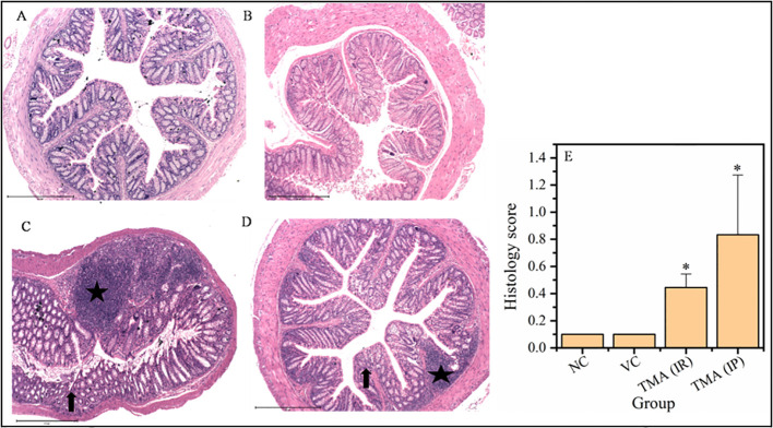 Figure 9