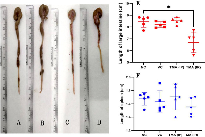 Figure 7