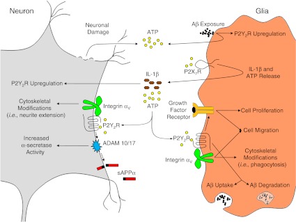 Fig. 2