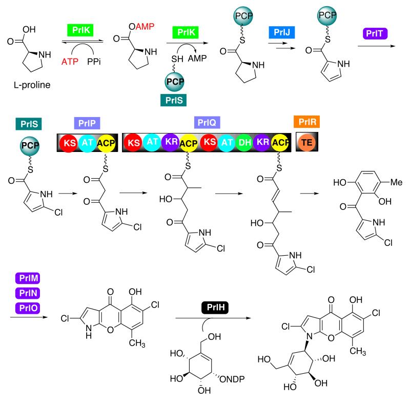 Scheme 2