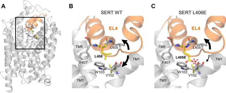 FIGURE 10.