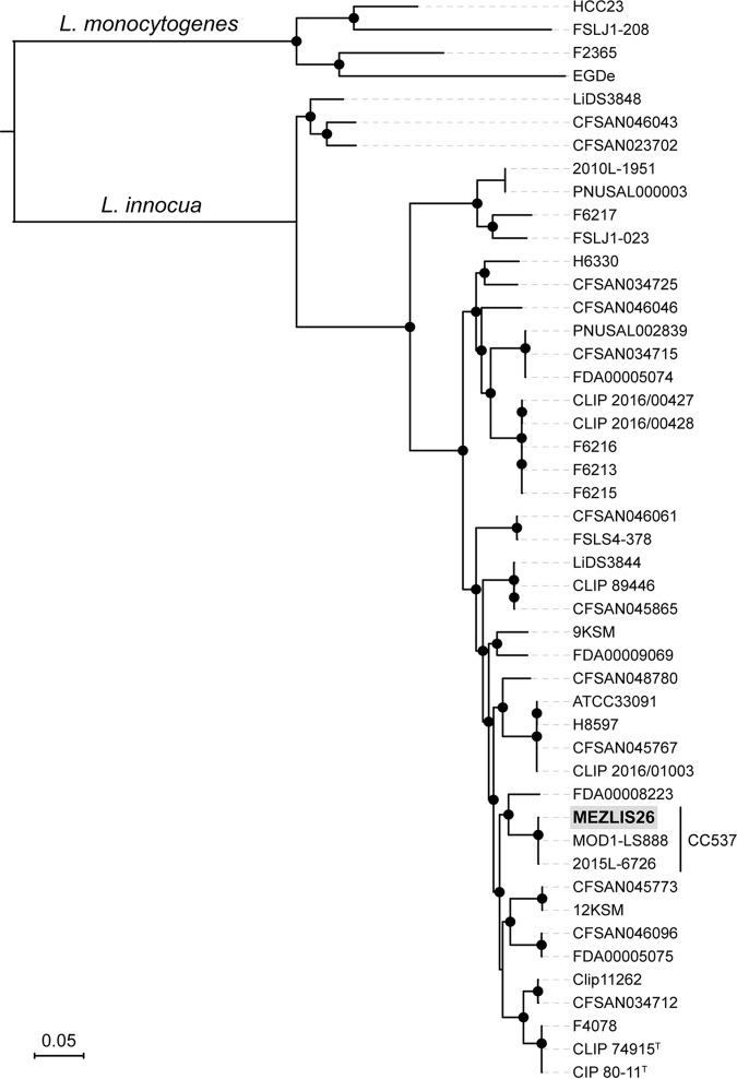 FIG 1