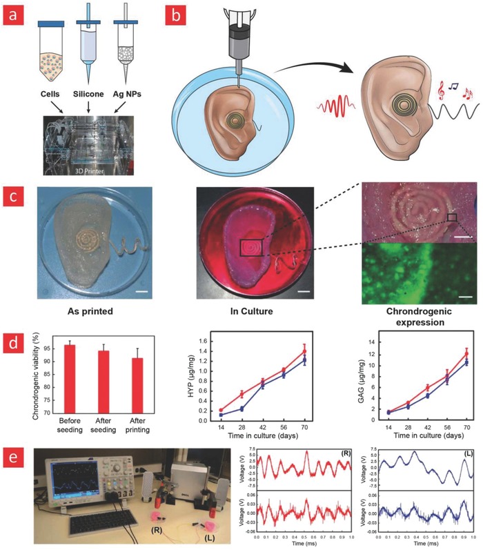 Figure 16