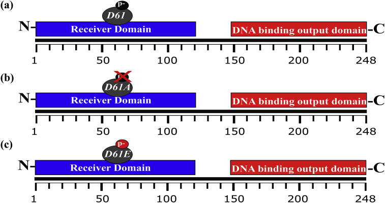 Fig. 1