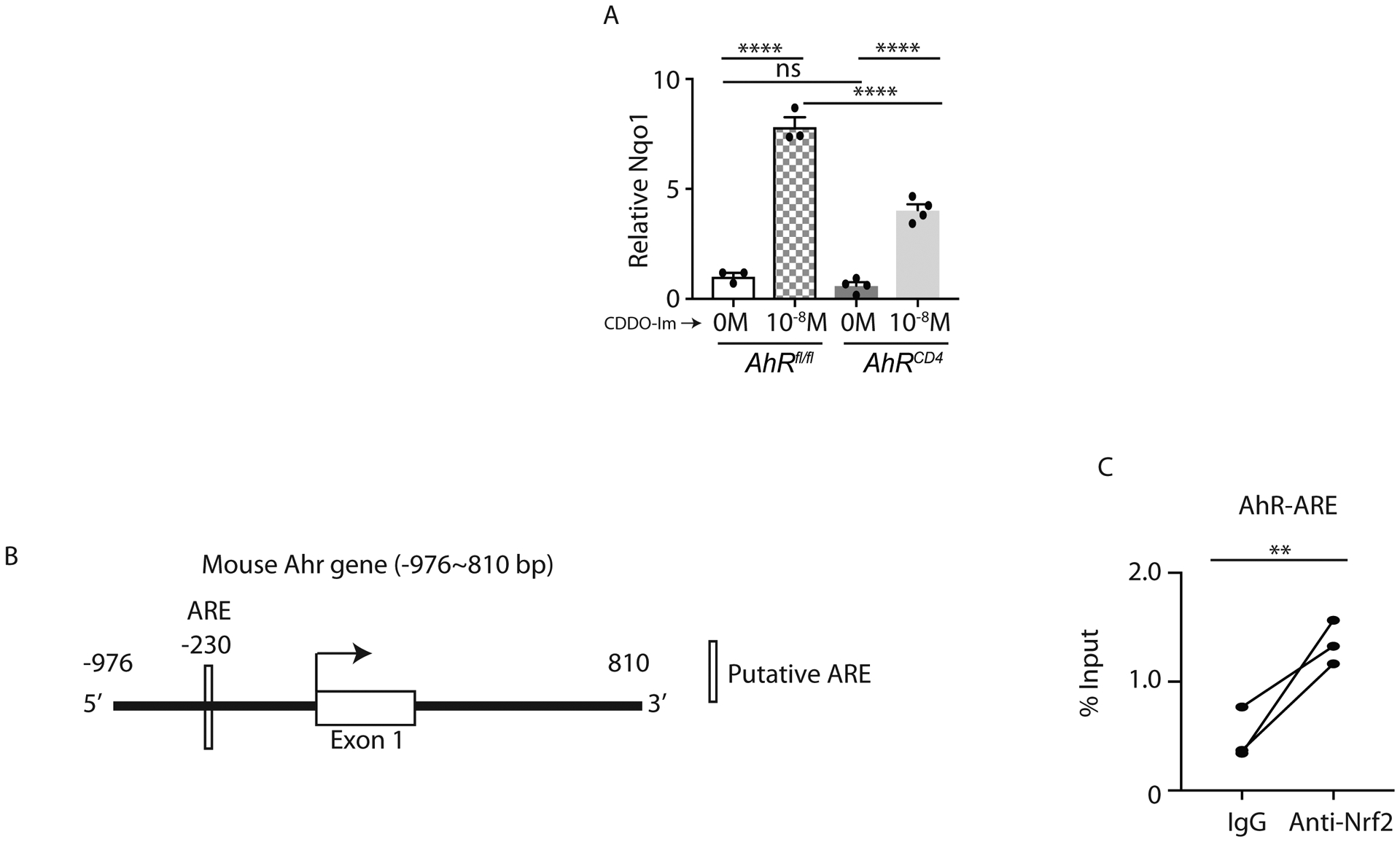 Figure 7: