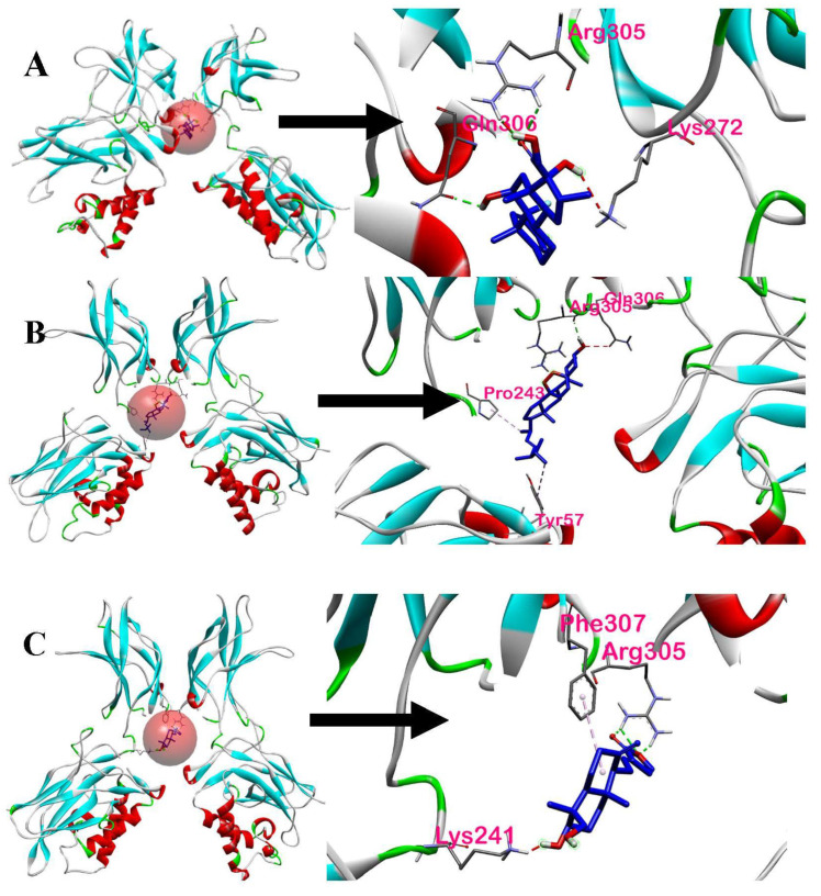 Figure 14