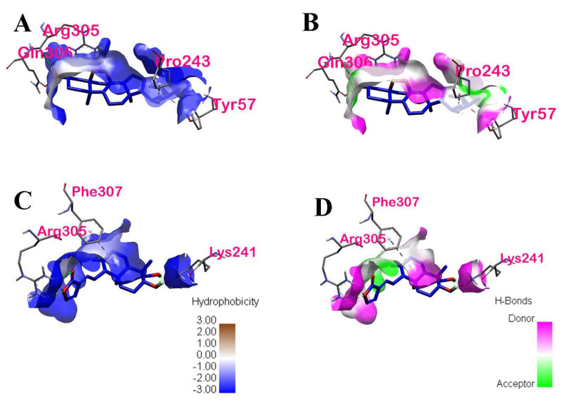 Figure 16