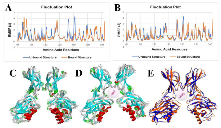 Figure 19