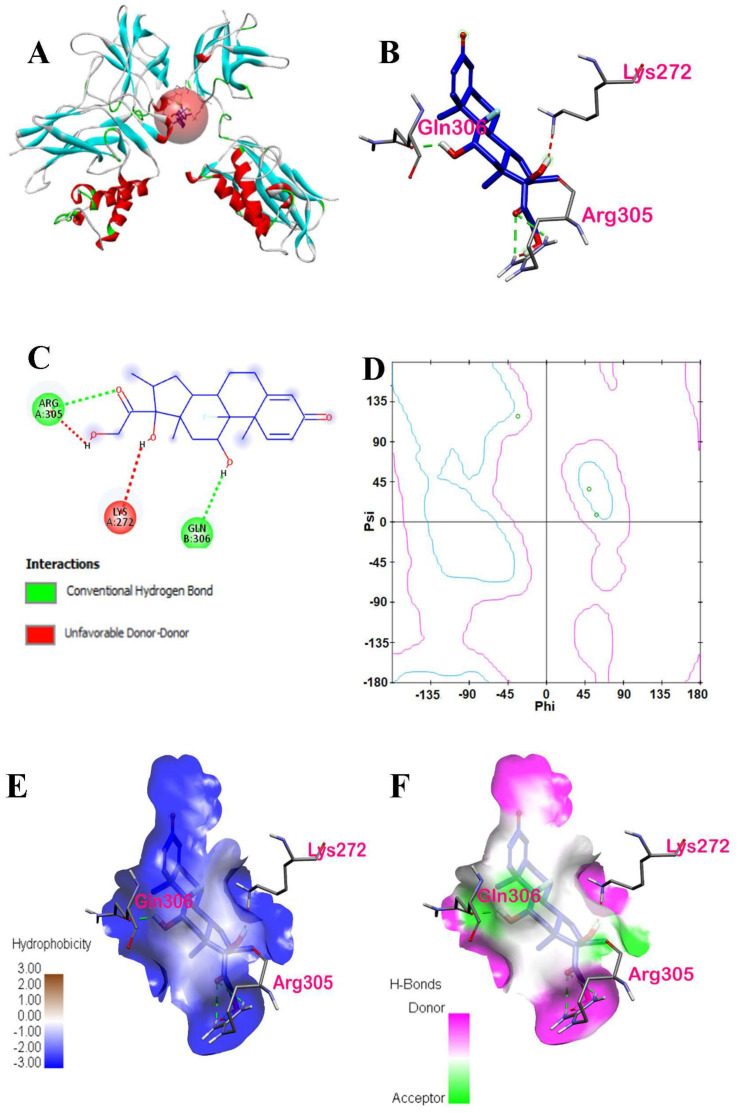 Figure 13