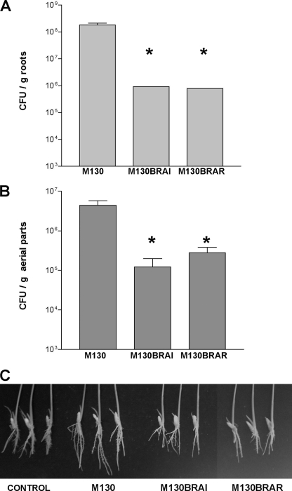 FIG. 8.