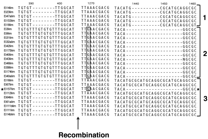 Figure 5.