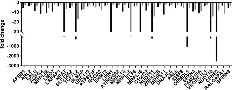 FIG. 2.