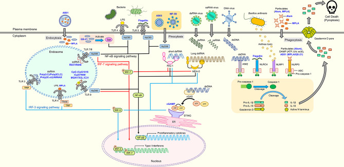 Figure 1