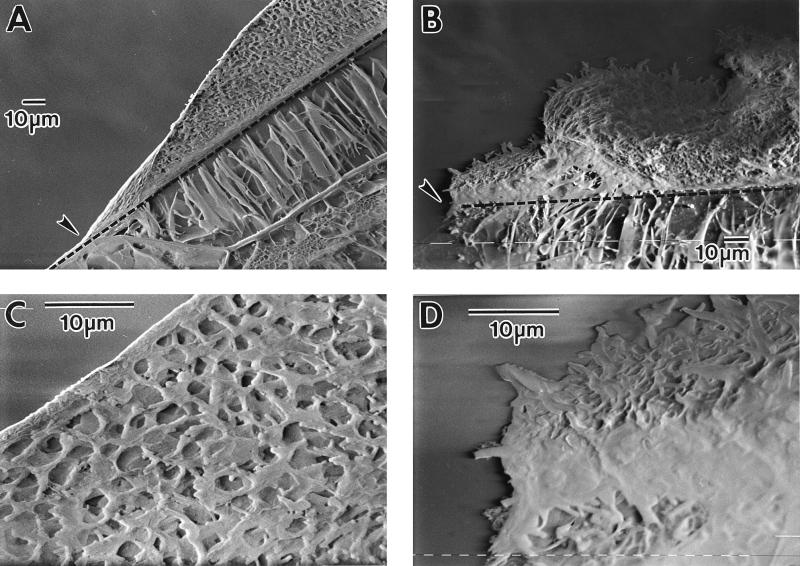 FIG. 8