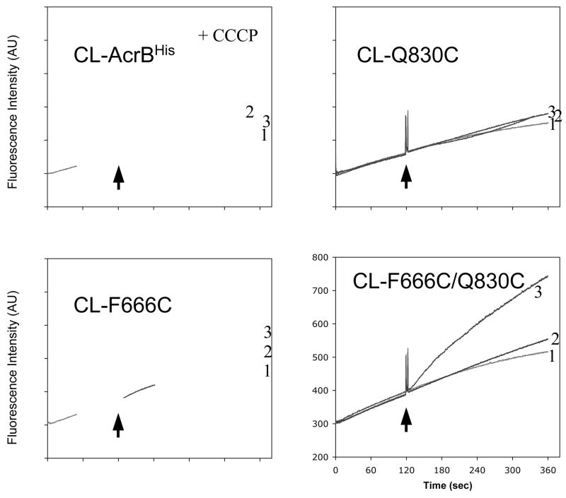 Fig. 3