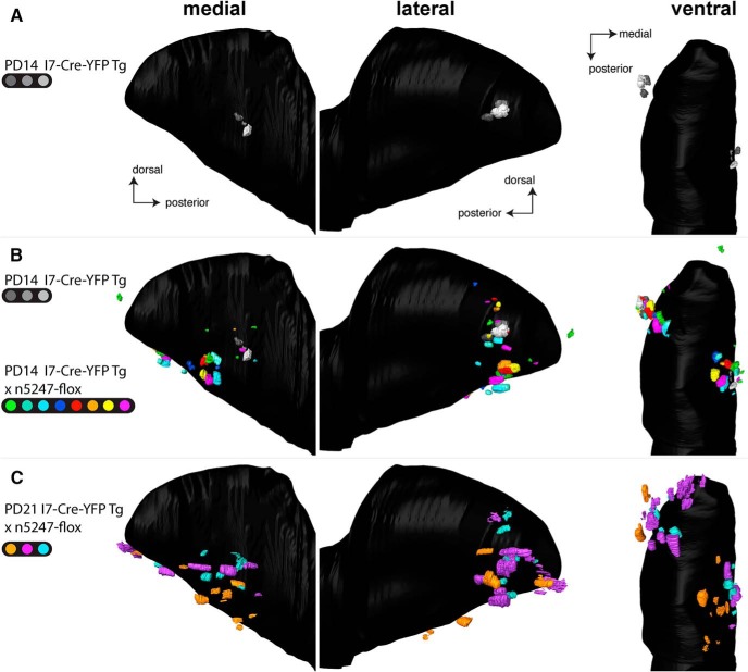 Figure 10.