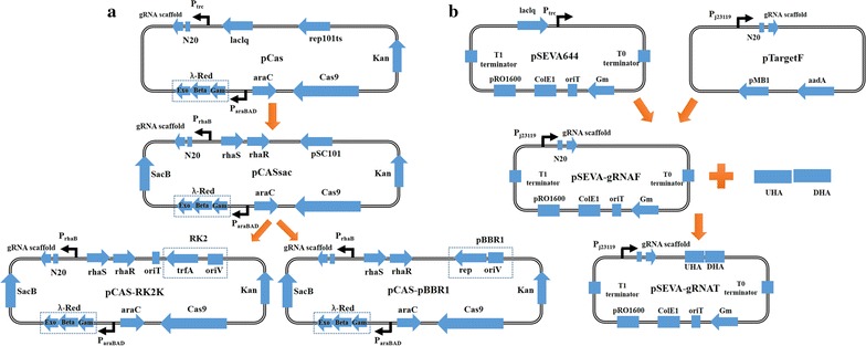 Fig. 1