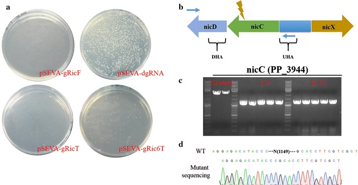 Fig. 2