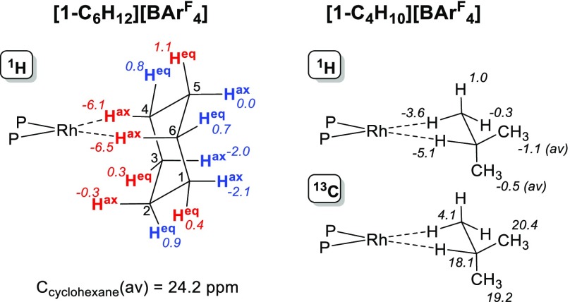 Scheme 5