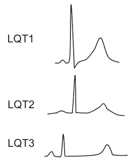 Figure 2)