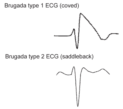 Figure 3)