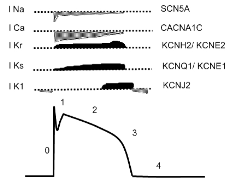 Figure 1)