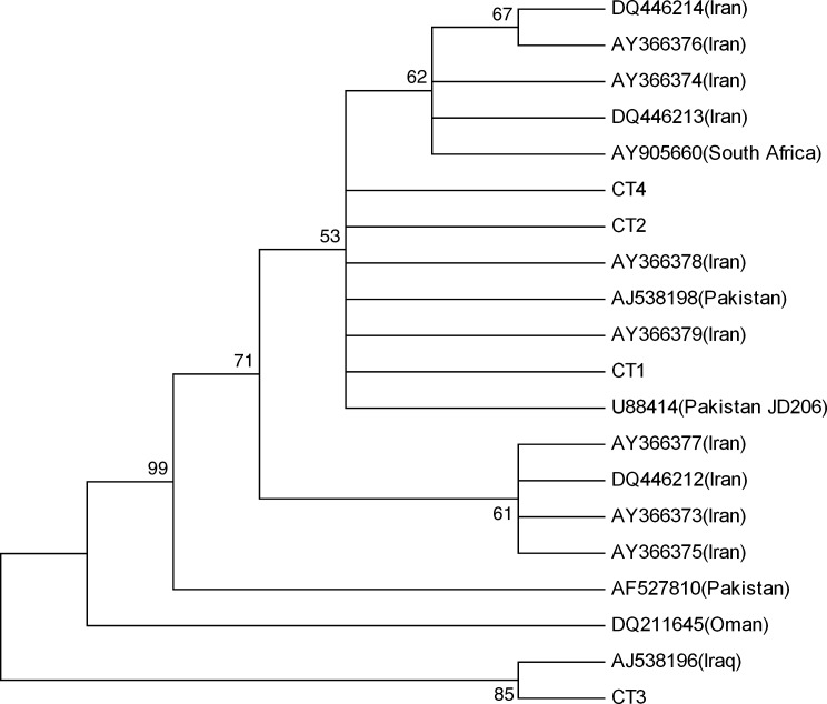 FIG. 1.