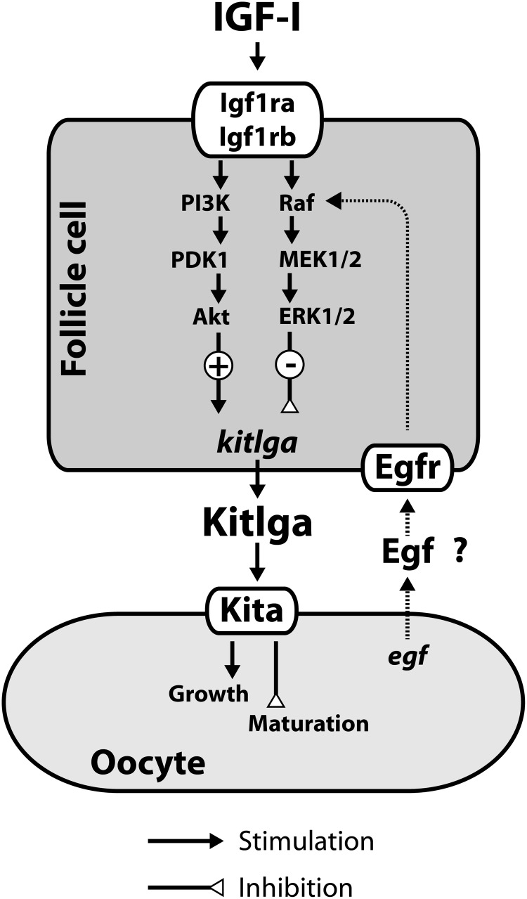 Figure 8.