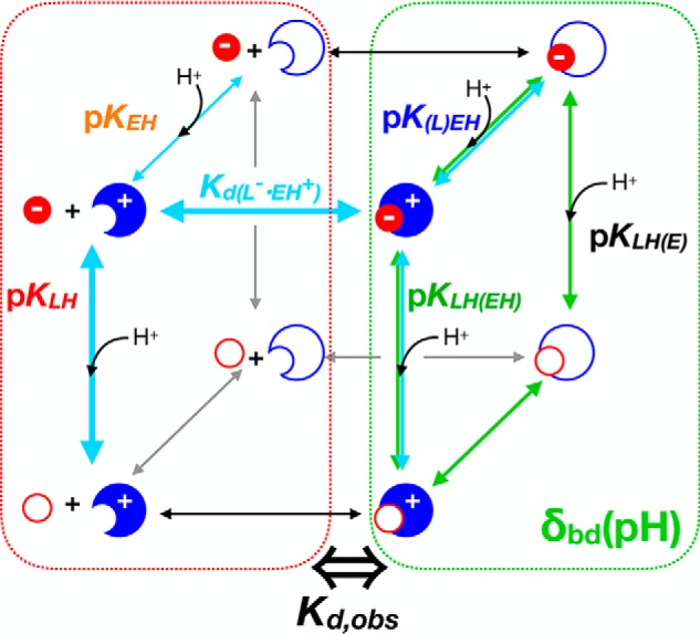 Scheme 2