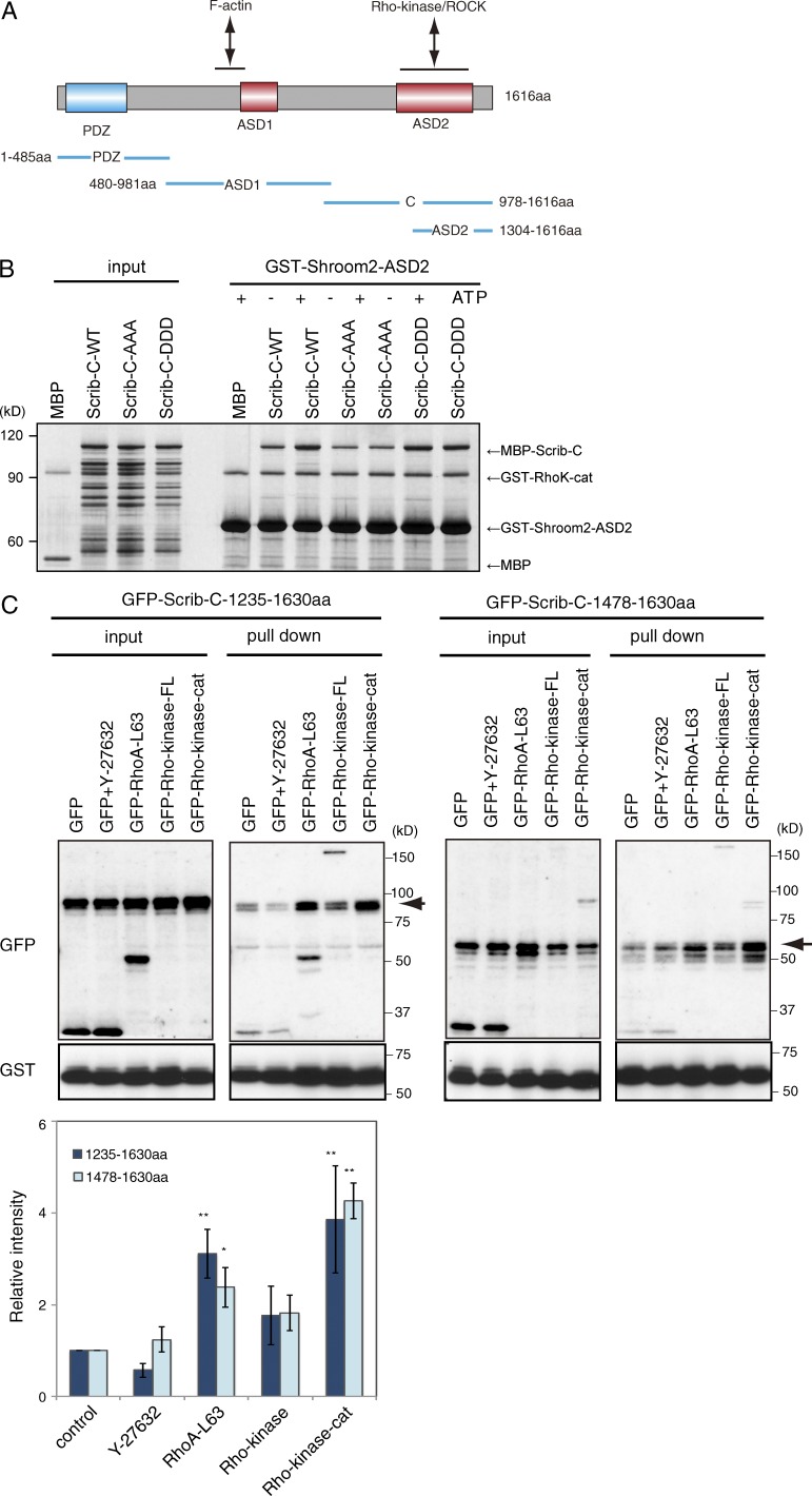 Figure 6.