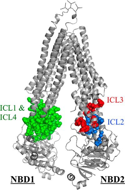 FIGURE 7.