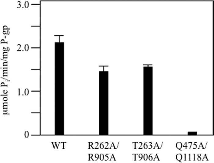 FIGURE 6.