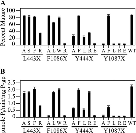 FIGURE 4.