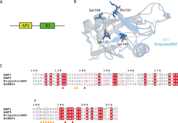 Figure 1—figure supplement 3.