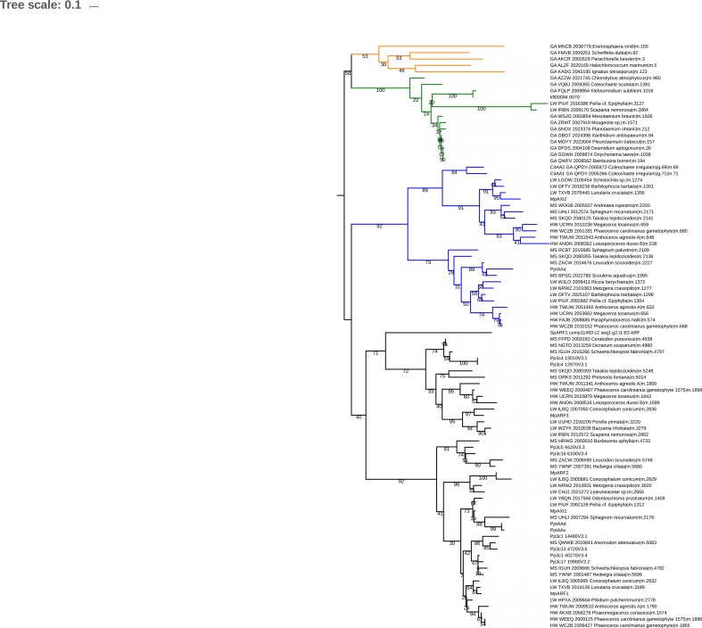 Figure 2—figure supplement 1.