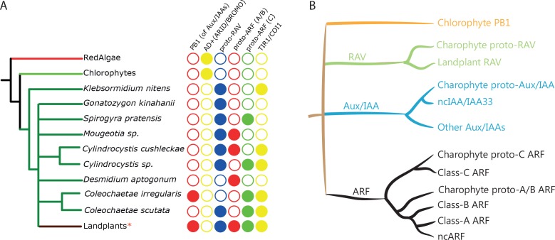 Figure 2.