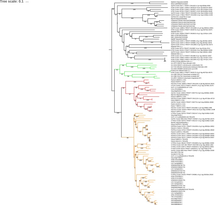 Figure 4—figure supplement 2.