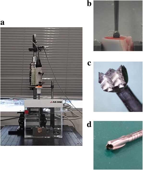 Fig. 3