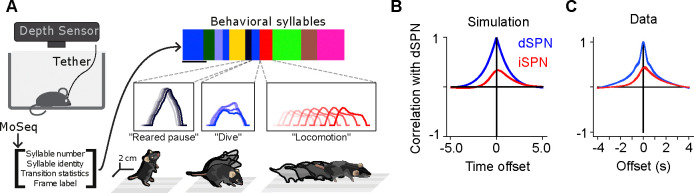 Figure 5: