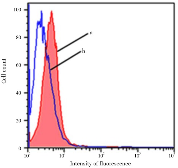 Figure 2.